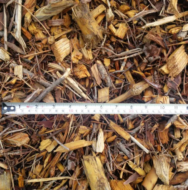 Figure 3 – Common visual aspect of the Pinus pinaster woodchips used in this study. 