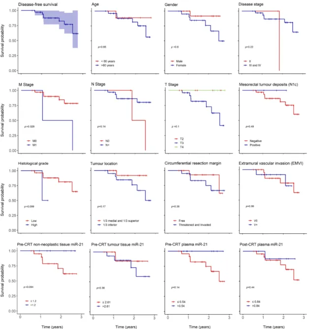 Figure 2. Overall disease-free survival (DFS) and according to clinical and oncological parameters