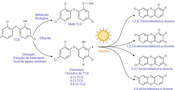 Figura 15.   Estruturas derivadas do TCS encontrados em efluentes e estações de tratamento  de águas residuais.