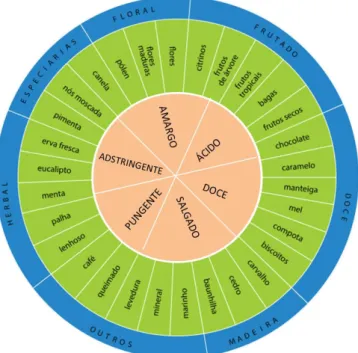 Figura 9 – Roda de aromas 1. Esta roda é constituída por duas rodas, uma interior (laranja) referente aos sabores, e  uma exterior (azul e verde) categorizadora dos aromas