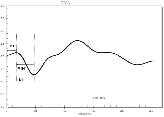 Figura 4. O tempo de culminação é dado pelo tempo decorrido entre o aparecimento do estímulo luminoso até a amplitude  máxima da onda, sendo expresso em milissegundos (ms)