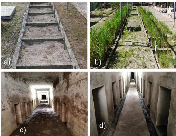 Figure 3.2 – Lysimeters: a) top view with bare soil; b) top view with oats crop; c) access tunnel beneath the  lysimeters before recuperation;  d) access tunnel cleaned and in use
