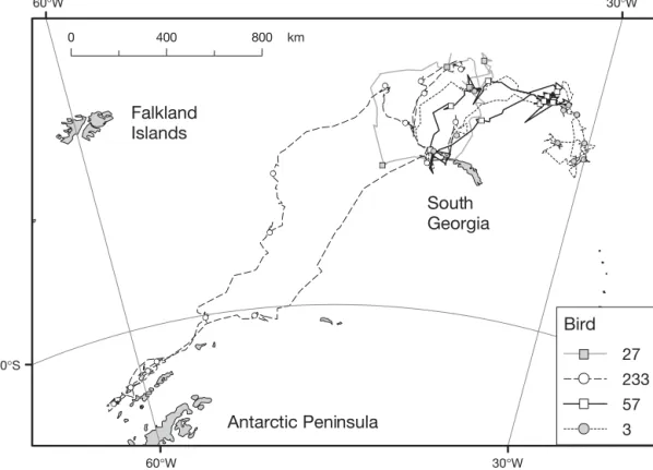 Fig. 4. Tracks of the 4 study albatrosses during a total of 5 foraging trips (Bird 233 was followed for 2 trips)
