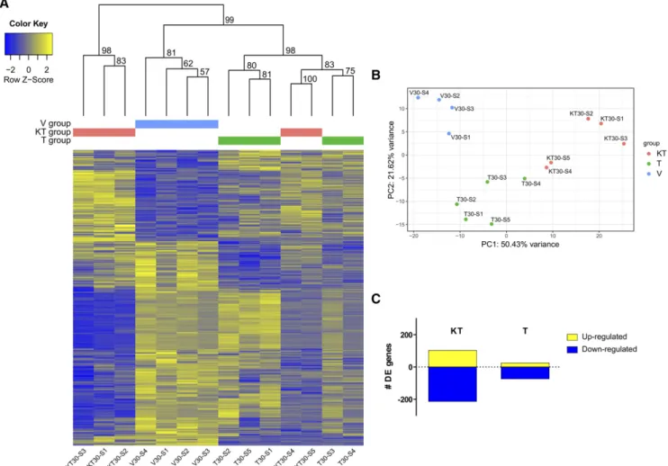 Figure 2 Differences in forebrain gene expression patterns of ﬁ sh injected with vehicle (V-treated group), 11-ketotestosterone (KT-treated group) or testosterone (T-treated group) at 30 min post-injection: A