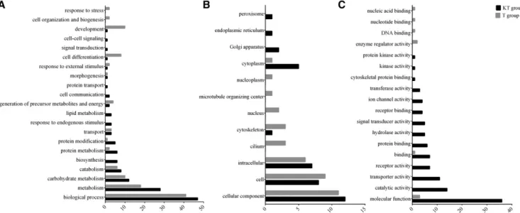 Figure 4 Differences between KT-treated and T-treated ﬁ sh at 30 min post-injection in the representation of DE genes in the gene ontology (GO) classes for each ontology: A