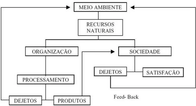 Figura 2 – Modelo sistêmico dos recursos naturais. 