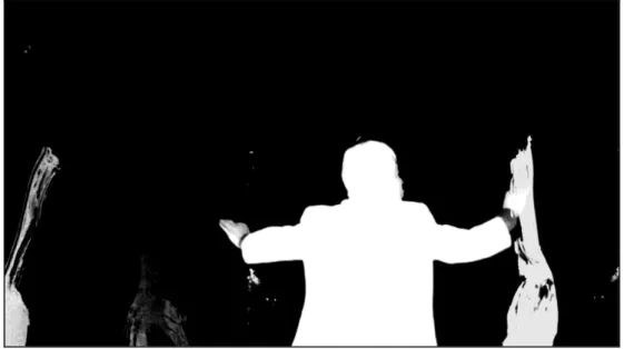 Figure 18: Symphony no. 4 still shot