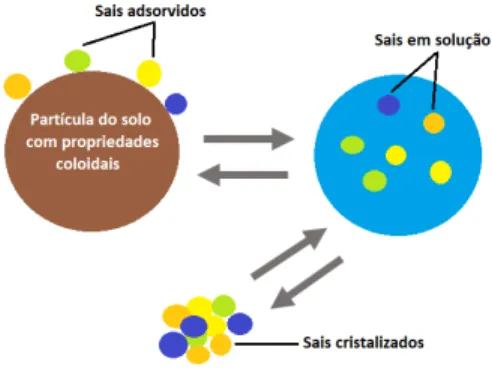 Figura 5 – Processos intervenientes na dinâmica dos sais no solo (Adaptado de Duarte, 2006)