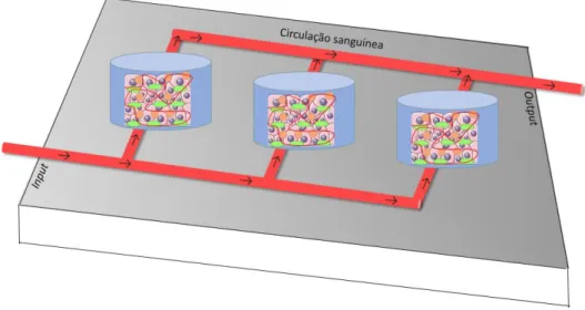 Figura 2: Modelo representativo da técnica que é utilizada para avaliar os efeitos do tecido 3D bioartificial produzido colocando em  interação com este tecido plasma de recetores 17,22 