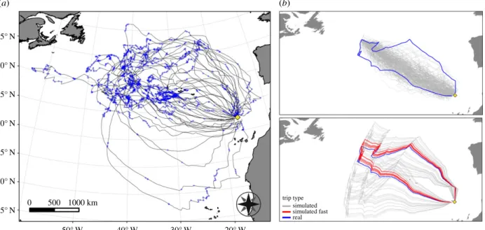 Figure 1. (a) Desertas petrels ’ tracks. The blue dots represent the locations classified as ‘ searching ’ 
