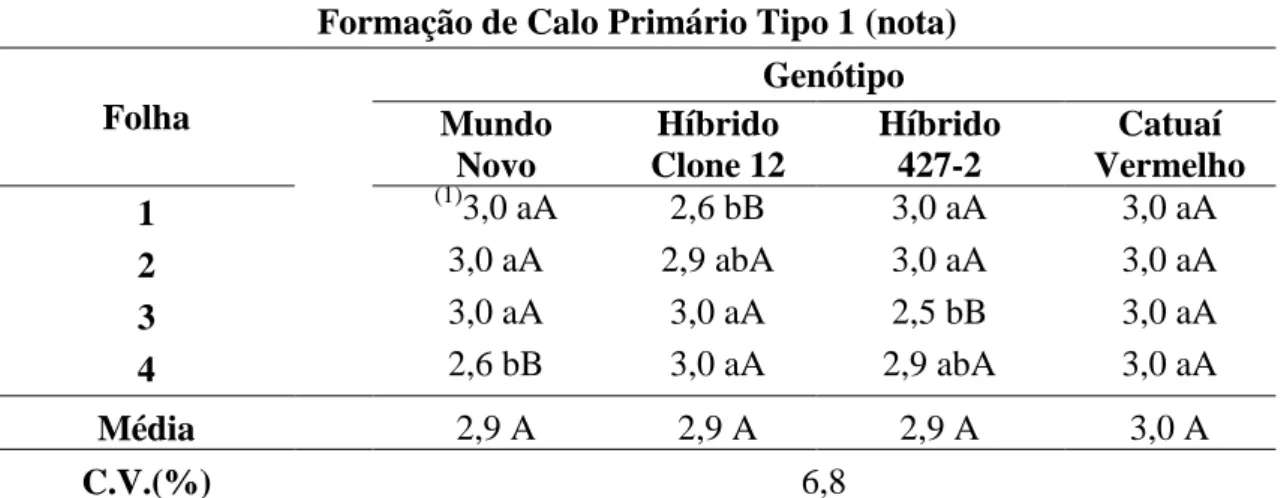 Tabela  5.  Influência  do  genótipo  e  da  amostragem  de  folhas  na  formação  de  calo  primário tipo 1, após 30 dias de cultivo em meio primário - PM, avaliada por meio de  notas