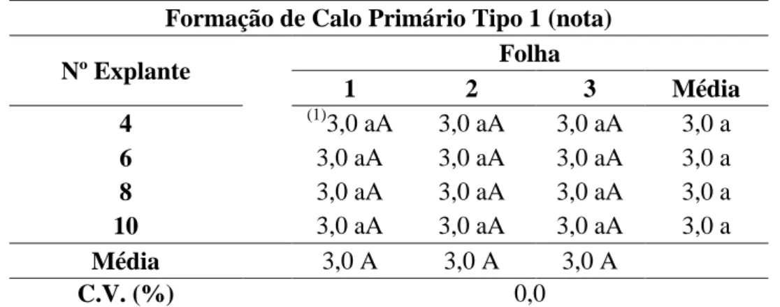 Tabela  8.  Influência  da  amostragem  de  folhas  e  diferentes  números  de  explantes  por  placa  na  formação  de  calo  primário  tipo  1,  na  variedade  ‘Catuaí  Vermelho’,  após  30  dias em meio PM