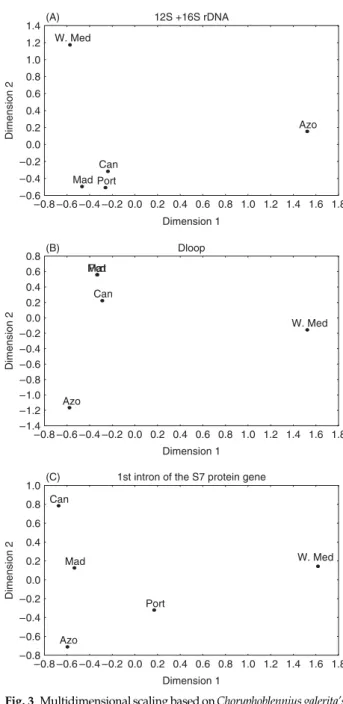 Fig. 3 Multidimensional scaling based on Choryphoblennius galerita’s population average pairwise differences for 12S rDNA +16S rDNA (A); D-loop (B) and first intron of the S7 protein gene (C).