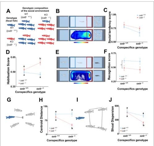 Figure 1. Genetic variation in the social environment affects zebrafish social behavior