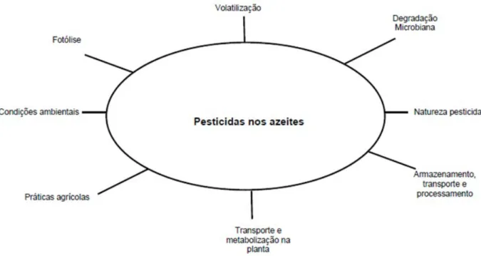 Figura 1- Fatores que afetam os níveis de resíduos de pesticidas nos azeites. 