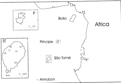 Fig. 1. Map showing the sampling localities of Hemidactylus from the Gulf of Guinea. The Cape Verde islands are also located o V  the West Coast of Africa, but over 2000 km to the North