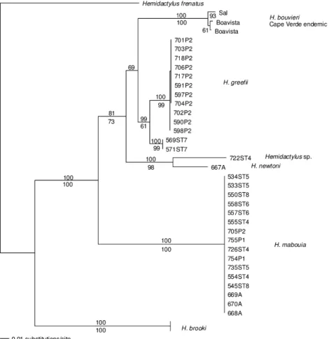 Fig. 2. Tree derived from a ML analysis of combined 12S and 16S rRNA fragments using the model described in the text