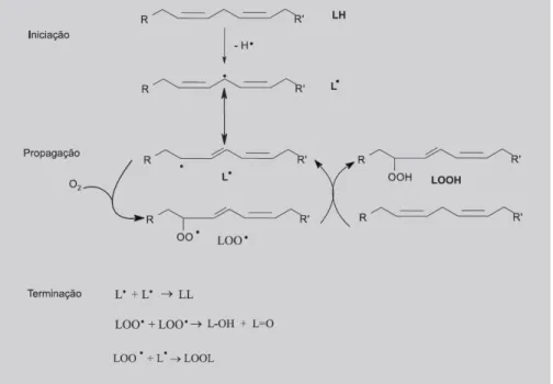 Figura 7 - Diagrama da peroxidação lipídica  (Lima et al, 2001) 