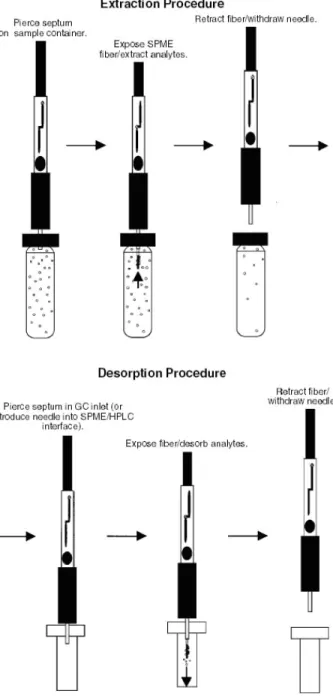 Figura 8 - Esquema da microextracção em fase sólida  (Ormsby, 2005) 