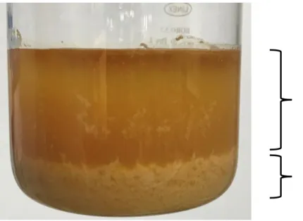 Table 8 and Figure 12 show that adding less A results in an incomplete neutralization,  thus,  higher  acidity  of  the  neutralized  oil