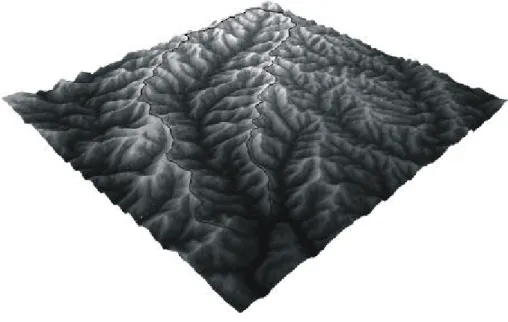 Figura 7 - Visualização em perspectiva do Modelo Digital de Terreno da bacia do rio Ariranha.