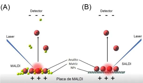 Fig. 7. Esquema comparativo do processo de ionização/dessorção a laser de MALDI-TOF MS  (A) e SALDI-TOF MS (B)
