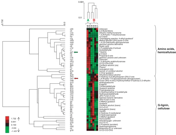Fig. 3 Clustering of differentiating xylem samples (levels L1 to L6) according to their metabolic profiles and clustering of pyrolysis products
