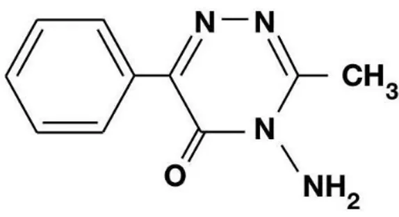 Figura 1 -  Composição química do Metamitrão