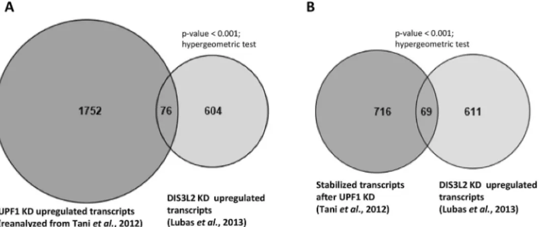 Fig. 2. DIS3L2 regulates a set of transcripts that are also under the regulation of the NMD key factor, UPF1
