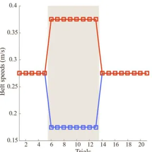 Figure  2.4    Short  protocol  performed  in  the  Split-belt  treadmill  for  the  Thy1-ChR2-YFP  and  VGlut2-ChR2-YFP  manipulations