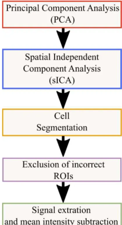 Figure  2.7    Mukamel  cell  sorting  algorithm  divided  into  five  stages  ([29])