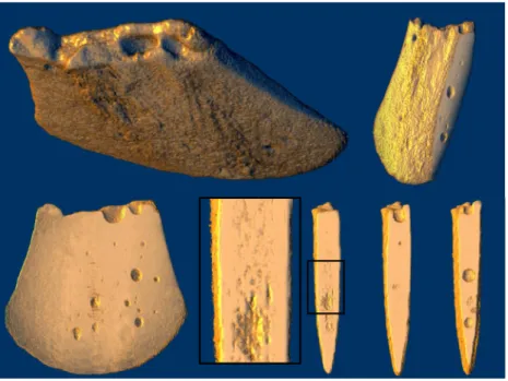 Fig. 6.Tomographic reconstruction of a volume of the lower half of the broken ax 20138 and virtual sections with incident virtual light to observe the distribution of internal macropores and microheterogeneities (detail at the center)