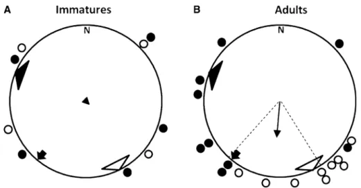 Fig. 3 Ontogeny of the homing behavior in L. pholis having the home pools as reference