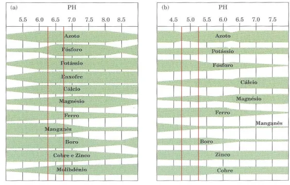 Figura  1  - Influência  do  pH  na  disponibilidade  de  nutrientes  num  solo  mineral  (a)  e  num  substrato orgânico (b) (Fonte: Ribeiro et al., 2001)