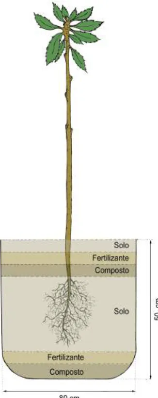 Tab. 2 - Soluções para a desin-  fecção do sistema radicular an-  tes da plantação. 