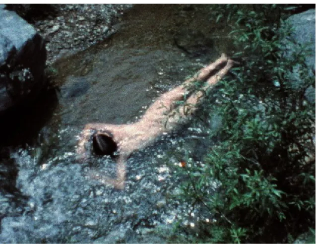 Figura 3: Creek. Vídeo. Ana Mendieta. 1974.