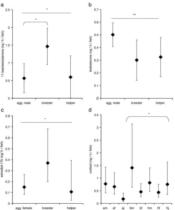 Fig. 1. Hormone excretion rates (in ng/h/fish; means ± S.E.) of fish with different social status: aggregation fish, breeder and helper (body mass considered as a covariate to account for potential body mass effects on hormone levels)
