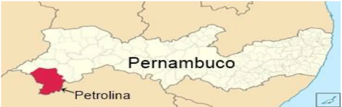 Figura 4 - Localização de Petrolina no estado de Pernambuco - Brasil  Fonte: https://pt.wikipedia.org/wiki/Petrolina