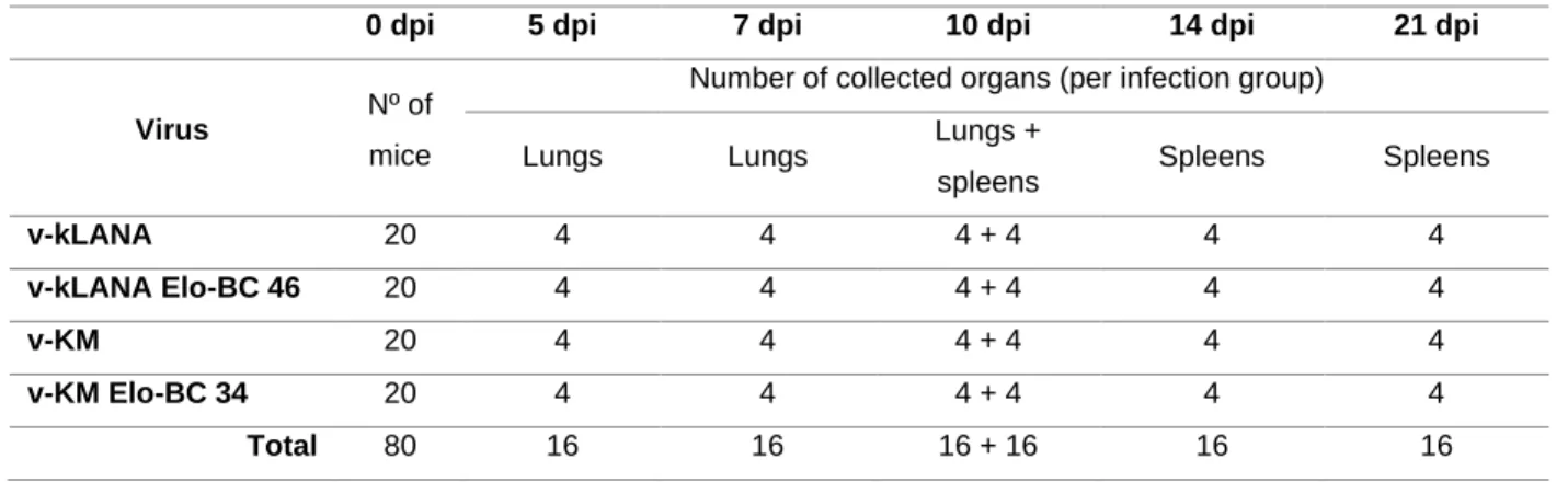 Table 7 - in vivo experiments 