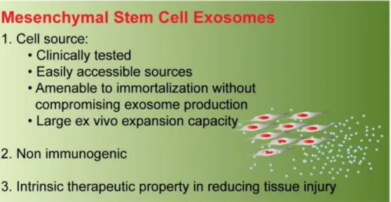 Figure 13 – Advantages of using mesenchymal stem cells as a source of exosomes. Figure adapted from  reference [4]