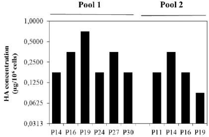 Figure 9 – Concentration of HA in cellular extracts along passages for two stable Hi5 pools