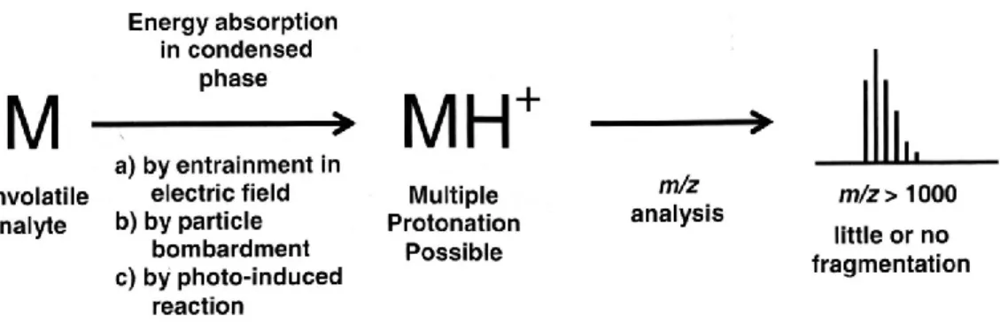 Figure 2 – Simplified schematic of a generic desorption/ionization analysis by mass spectrometry