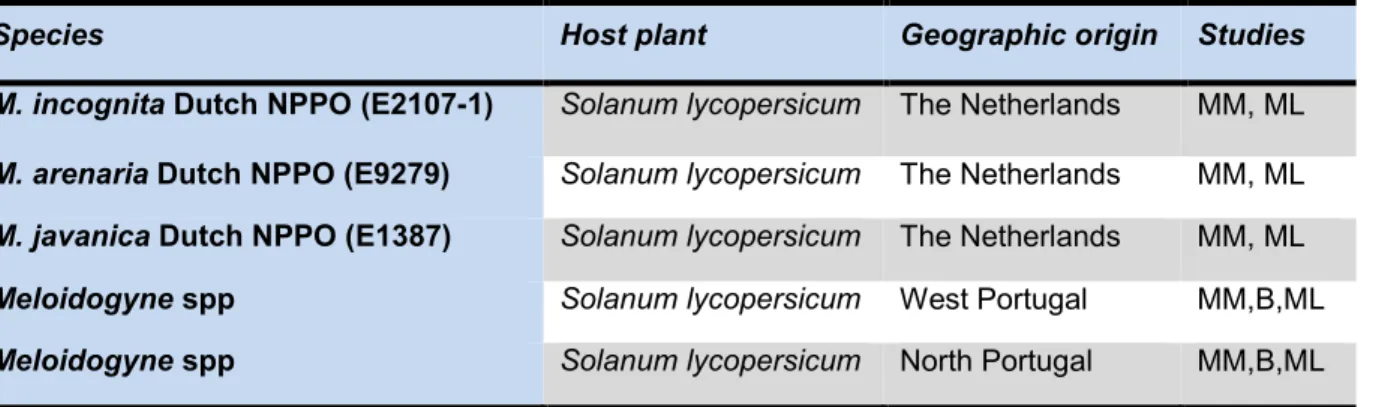Table 2 - Meloidogyne isolates, host, geographic origin and studies performed in this work 