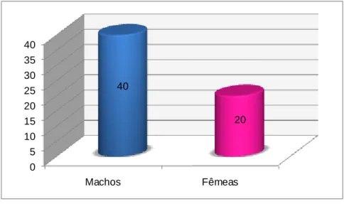 Gráfico 1. Distribuição da população de felídeos segundo o género masculino e feminino