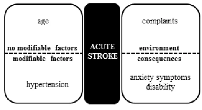 Figure 3. Model of anger in acute stroke 