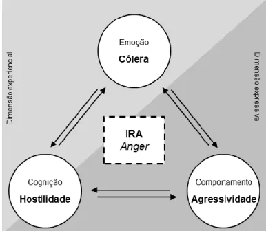 Figura 1. A ira e a suas três dimensões 