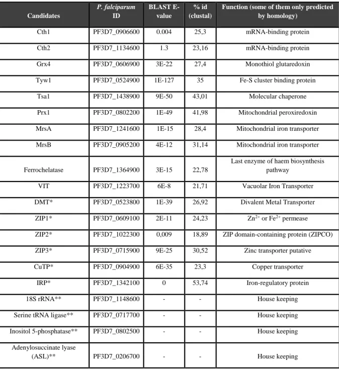 Table 4.1 – Candidate genes for which expression levels were tested after the iron treatments: the first column describes  the  gene’s  short  name,  the  second  shows  PlasmoDB  ID,  the  third  and  fourth  columns  show  the  BLAST  E-value  and  the  