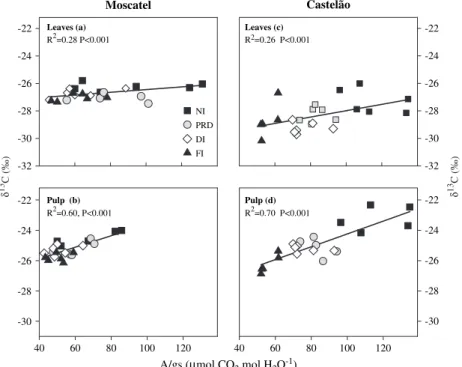 Fig. 7. Relationship of d 13 C in leaves (a) (y= 27.81+0.02x) and pulp (b) (y= 27.42+0.03x) of Moscatel and leaves (c) (y= 30.30+0.02x) and pulp (d) (y= 28.47+0.04x) of Castela˜o with intrinsic water use efficiency (A/g s )