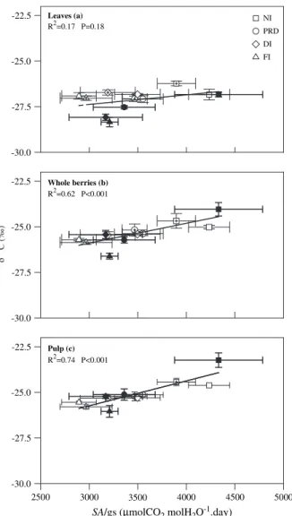 Fig. 8. Relationship of d 13 C in leaves (a) ( y= 28.96+0.001x), whole berries (b) (y= 29.16+0.001x), and pulp (c) (y= 29.83+0.001x) with integral of intrinsic water use efficiency (SA/g s )