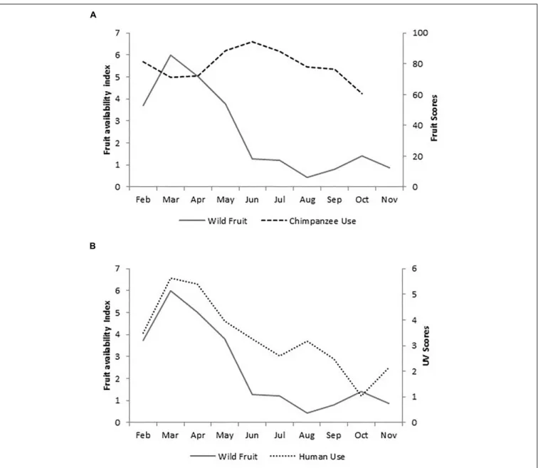 FIGURE 2 | Mean monthly values for wild fruit availability (FAI) plotted against (A) chimpanzee fruit scores (scores for November are not available), and (B) human UV scores.